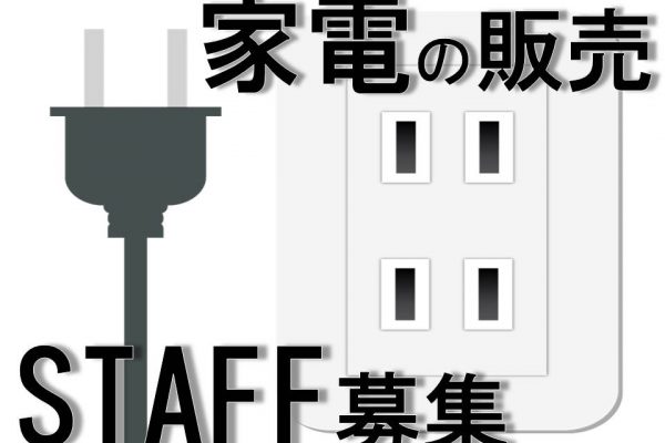 家電量販店での照明器具販売スタッフ イメージ