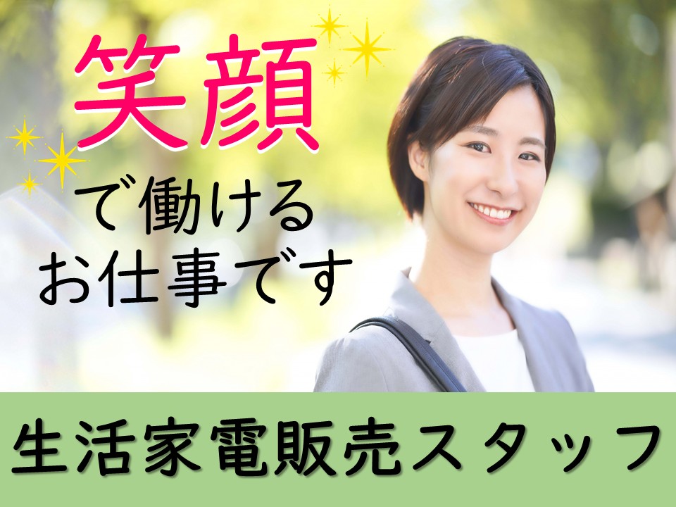 大手メーカー冷蔵庫・洗濯機の接客販売スタッフ イメージ