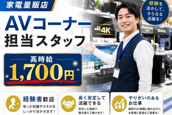家電量販店でのAV家電担当スタッフ イメージ