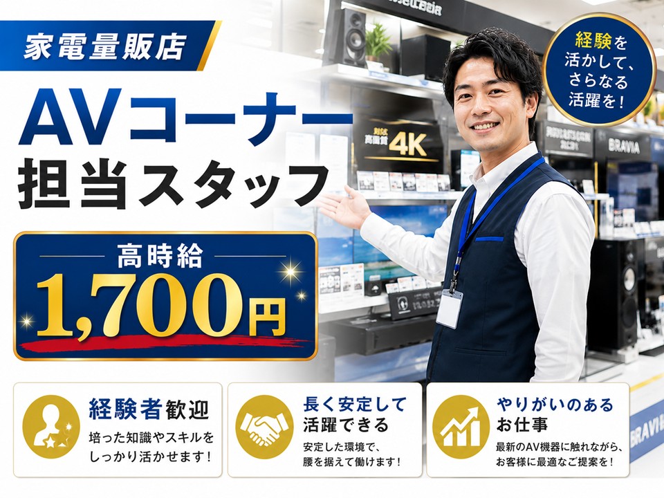 家電量販店でのAV家電担当スタッフ イメージ