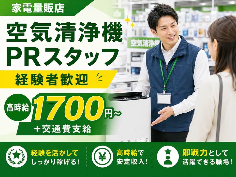 家電量販店での空気清浄機販売スタッフ イメージ