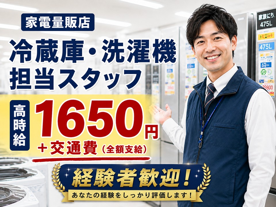 家電量販店での冷蔵庫・洗濯機販売スタッフ イメージ