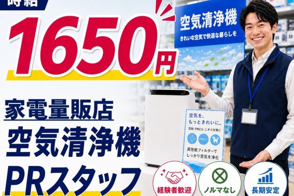家電量販店での空気清浄機販売スタッフ イメージ